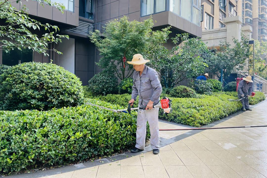 夏季小区绿化养护修剪